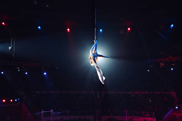 Girls aerial acrobatics in the Circus arena. - Foto, imagen
