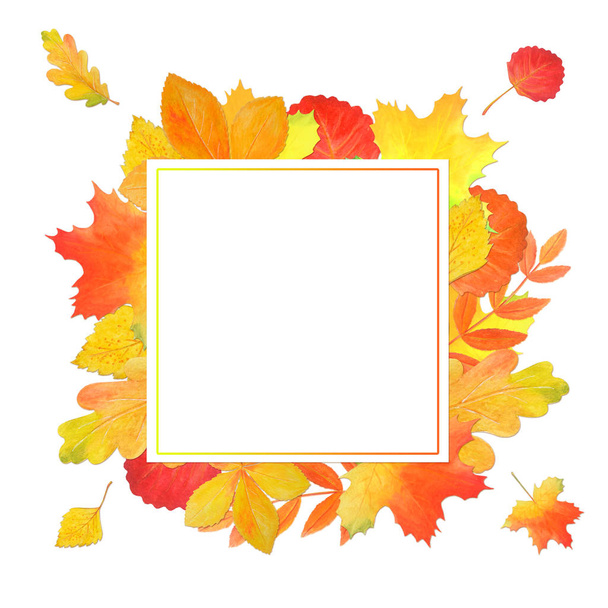 Presentation template with autumn leaves on white background - Φωτογραφία, εικόνα