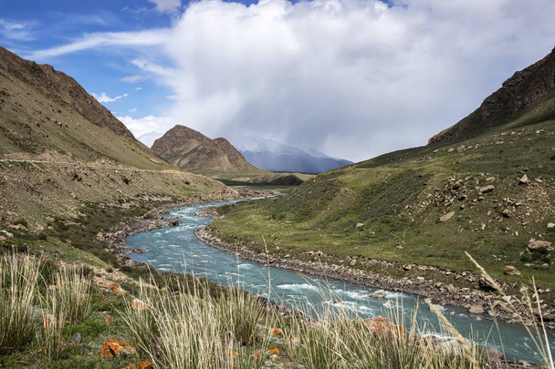 Pohled na řeku protékající mezi zelenými kopci s trávou a kameny v popředí Kyrgyzstánu. - Fotografie, Obrázek