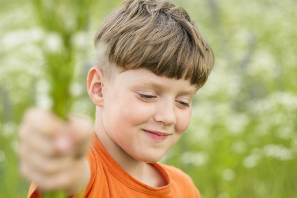 Gyermek jelen vadvirág illata a néző egy blury zöld háttér - Fotó, kép