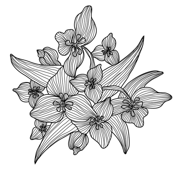 Ręcznie rysowane dekoracje kwiatowe - Wektor, obraz