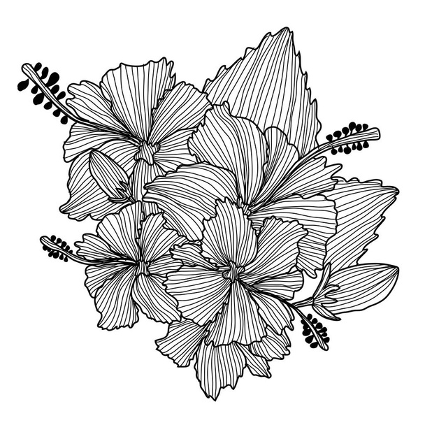 hand drawn floral decoration - Wektor, obraz