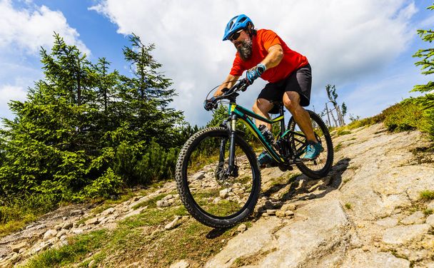 Mountain biker riding on bike in summer mountains forest landsca - Photo, Image