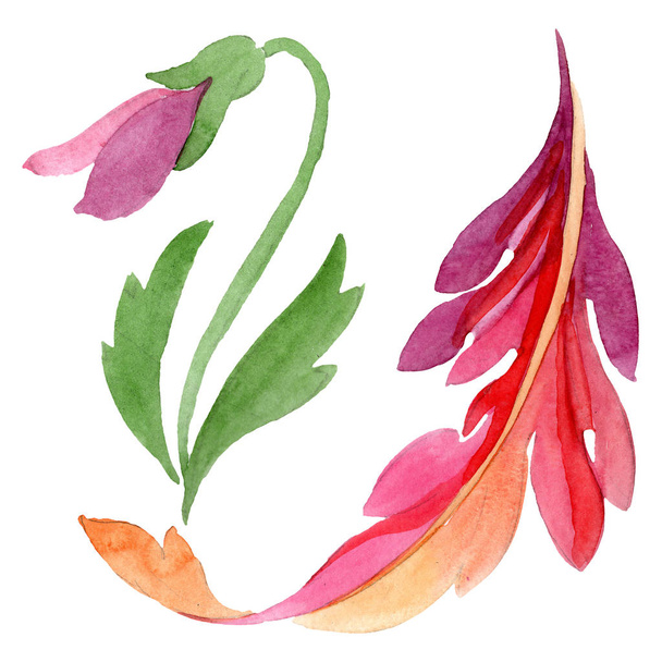 Ornamento com pálias flores botânicas. Conjunto de ilustração de fundo aquarela. Isolado elemento ilustração viola
. - Foto, Imagem