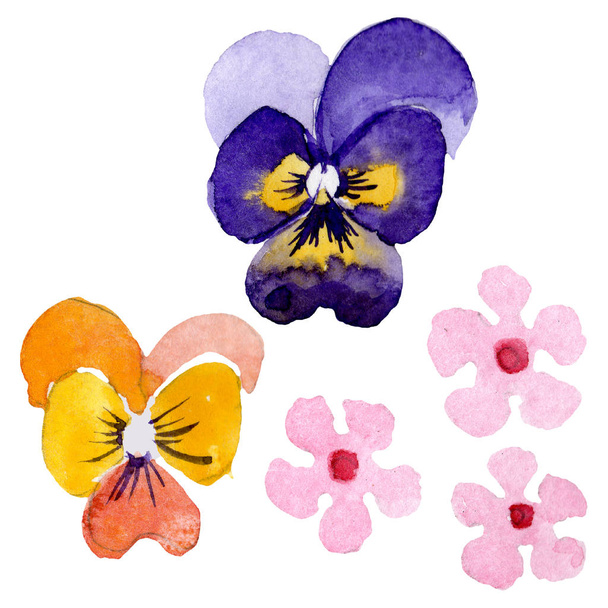 Ornament with pansies botanical flowers. Watercolor background illustration set. Isolated viola illustration element. - Foto, Imagem