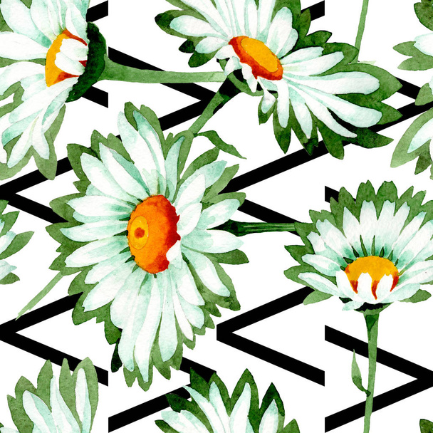 Beyaz papatya çiçek botanik çiçekler. Suluboya arka plan illüstrasyon seti. Kesintisiz arka plan deseni. - Fotoğraf, Görsel