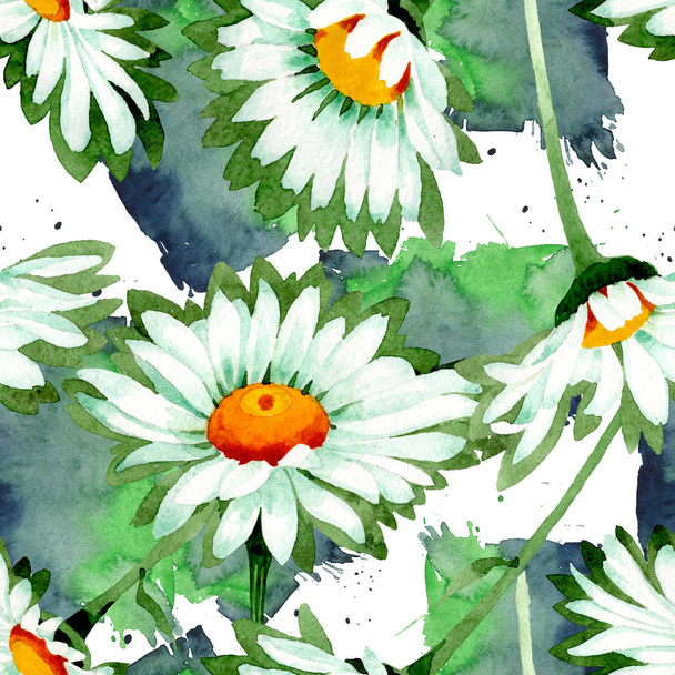 White daisy floral botanical flowers. Watercolor background illustration set. Seamless background pattern. - Фото, изображение