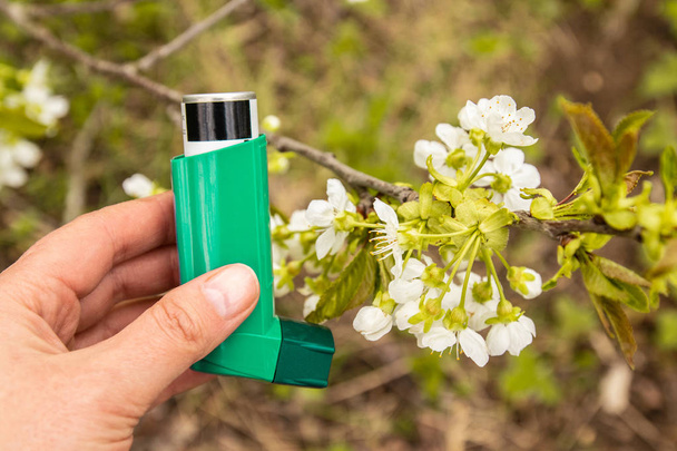 Asthma and COPD disease concept. Spring flowering trees - Photo, Image
