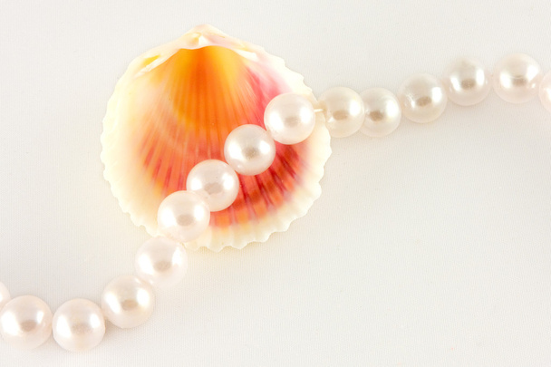 Concha y cuerda de perlas
 - Foto, imagen