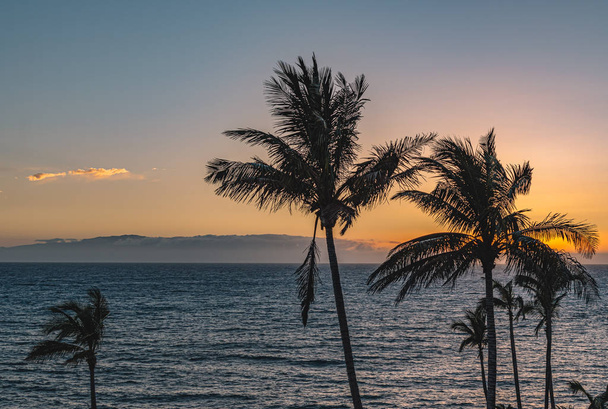 Naplemente a paradicsomban, gyönyörű óceán táj pálmafákkal, kék óra - Fotó, kép