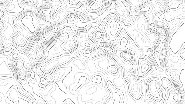Topography map background. Vector geographic contour map. - Vector, Image