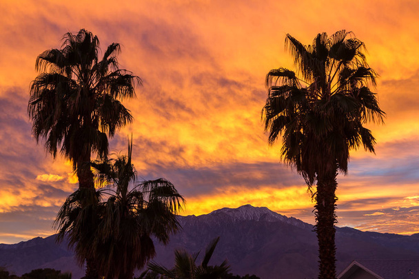 zonsondergang en palm bomen - Foto, afbeelding