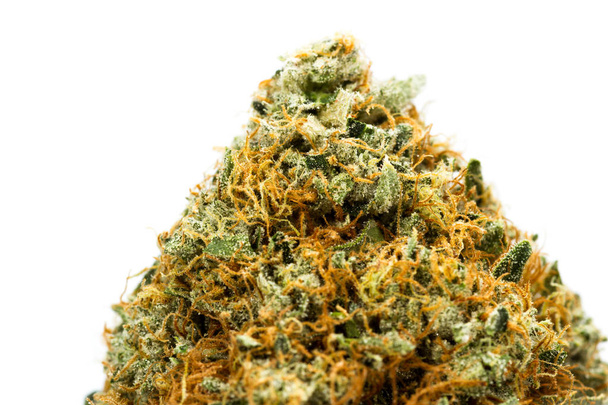 Fibre e cristalli su una gemma di cannabis
 - Foto, immagini