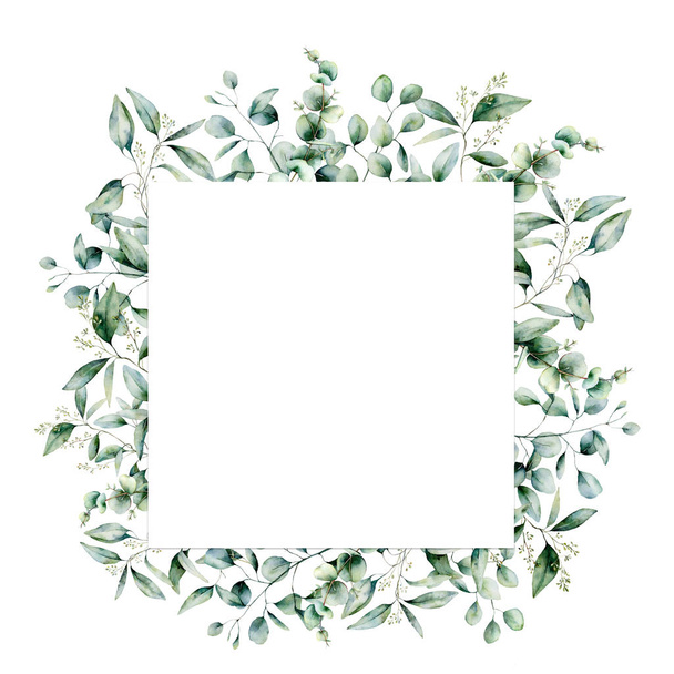 Vodní barva eukalyptová hranatá karta. Ručně malované eukalyptové větve a listí izolované na bílém pozadí. Květinové znázornění designu, tisku, tkaniny nebo pozadí. - Fotografie, Obrázek