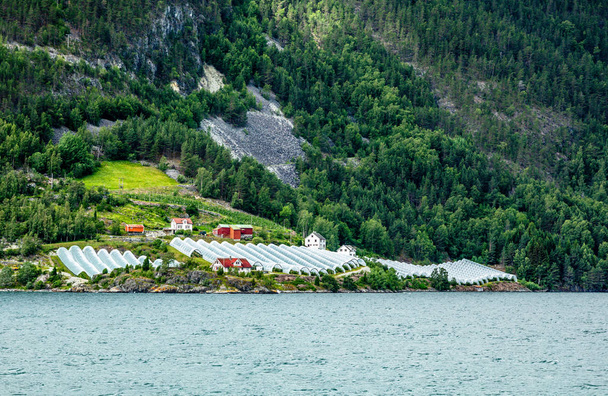 Fazenda agrícola norueguesa com estufas na colina em Naer
 - Foto, Imagem
