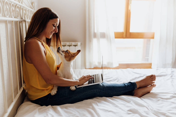 Happy woman sitting on the bed typing on the laptop with her dog Jack Russell terrier on her legs at sunset - Foto, Imagen
