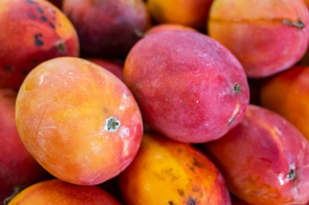 rode stapels mango vruchten - Foto, afbeelding