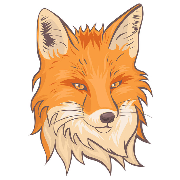 The head of the fox. Isolate on a white background. Vector graphics. - Vektori, kuva