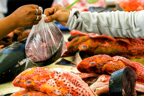 ruce řezáním kusu tuňáka u stánku na trhu v malém přístavu - Fotografie, Obrázek