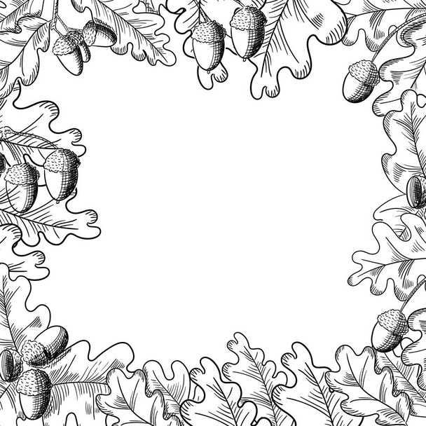 Vector oak leaf and acorn drawing frame. Autumn elements. - Vektor, kép
