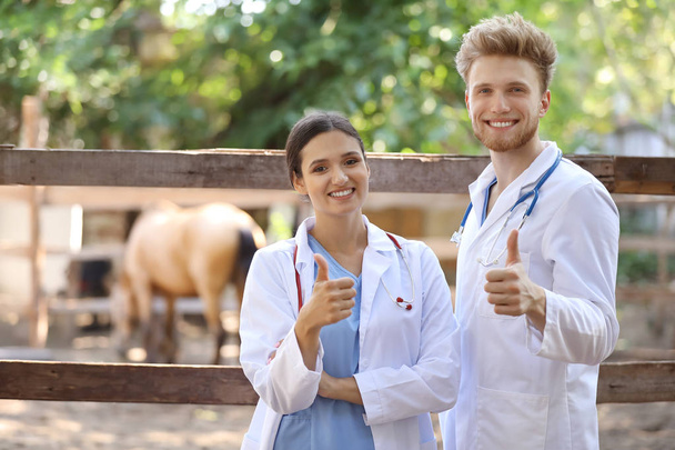 Veterinární lékaři ukazující palec u visiště s koněm na farmě - Fotografie, Obrázek