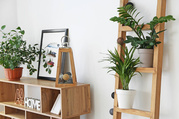 Интерьер современного номера с комнатными растениями - Фото, изображение