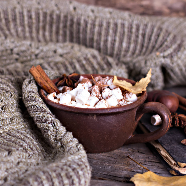 Cocoa with marshmallow  - Photo, Image