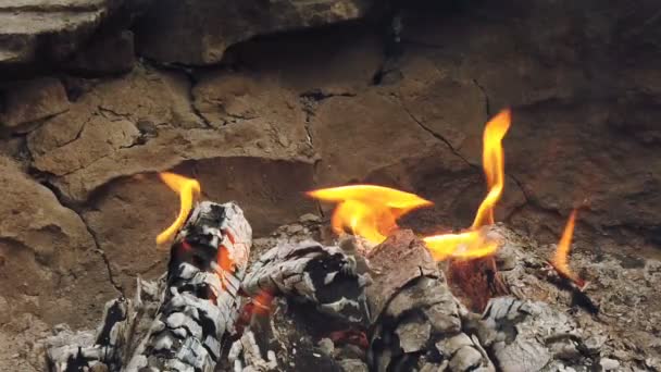 Vista da vicino a carbone incandescente e fiamma nella griglia del barbecue
 - Filmati, video