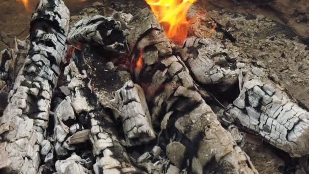 Zamknij widok na świecącym węglu i płomieniu w grillu - Materiał filmowy, wideo