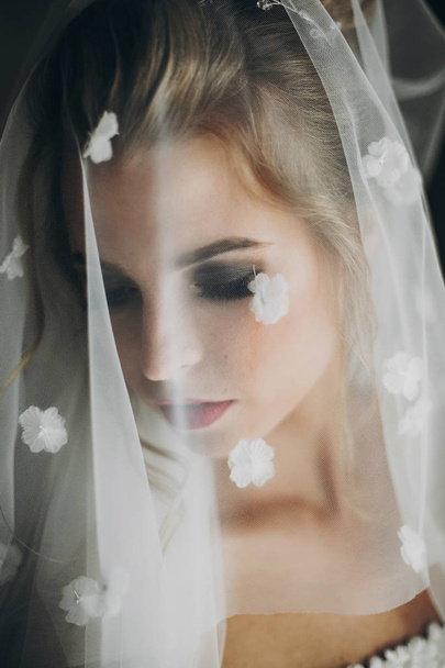 Stylish bride posing under veil in soft light near window in hot - Photo, Image