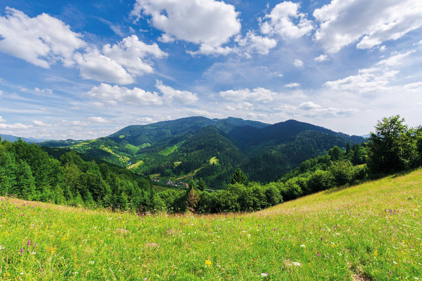 beautiful mountain landscape in summer - Foto, afbeelding