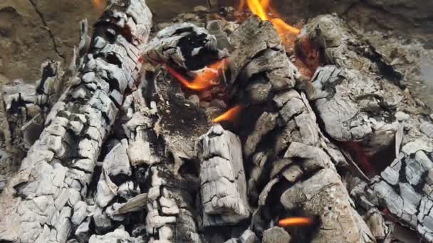 Vista da vicino a carbone incandescente e fiamma nella griglia del barbecue
 - Filmati, video