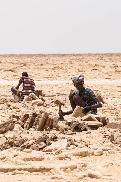 camel caravan and Afar mining salt in Danakil depression, Ethiopia - Φωτογραφία, εικόνα