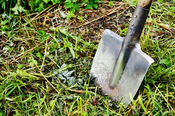 old shovel stuck in the ground - Foto, Imagen