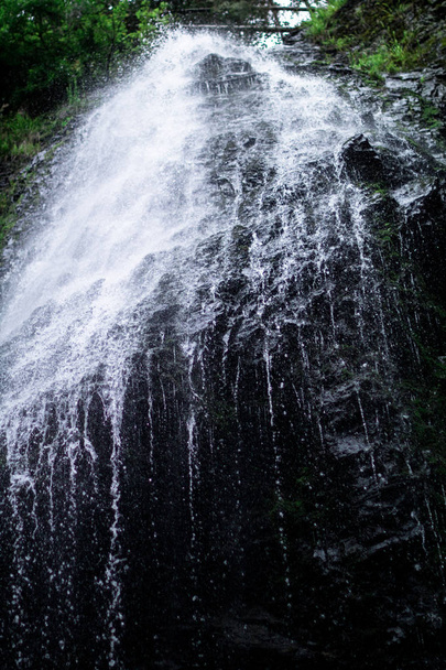 Высокий водопад в темном лесу темно-зеленые растения вокруг, бревна под водопадом
 - Фото, изображение