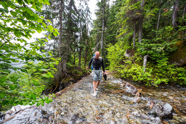 Backpacker in a hike in the summer mountains - Photo, Image