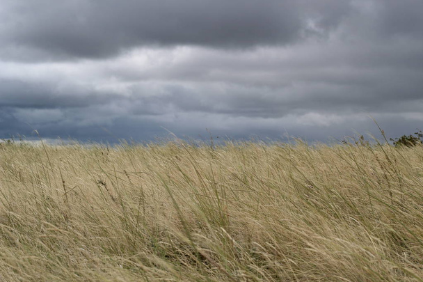 gray storm clouds in the steppe before the hurricane - Foto, Imagem