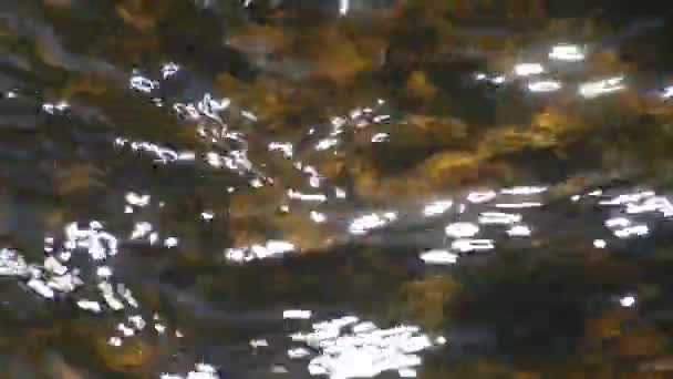 Little Creeku Černého lesa v Německu - Záběry, video