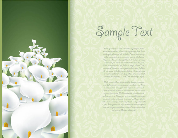 Calla Lily Flower card. Green textured background - Vettoriali, immagini