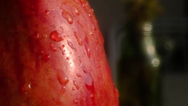 large drops of clear water slowly roll down the wet skin of ripe, red, juicy Apple. On a green background. macro mode - Materiaali, video