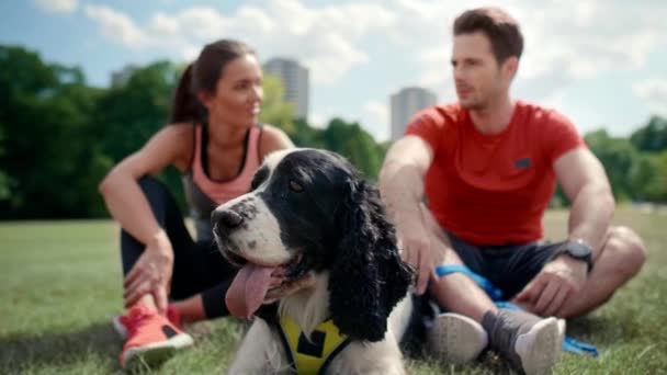 Szczęśliwa para i pies odpoczynku po ciężkim treningu  - Materiał filmowy, wideo