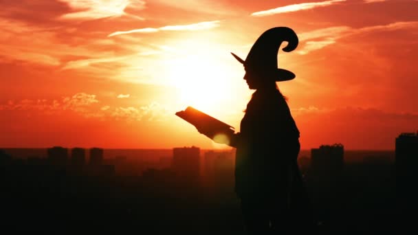 帽子をかぶったシルエットの女性と屋外で大きな魔法の本を保持 - 映像、動画