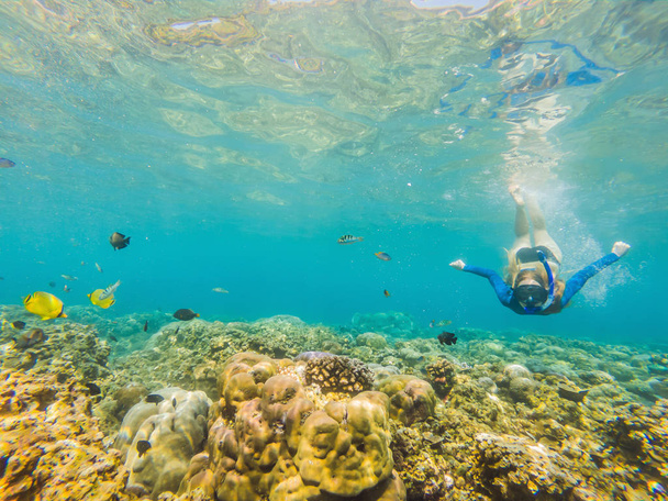Şnorkel maskesi mutlu kadın mercan resifi deniz havuzunda tropikal balıklar ile sualtı dalış. Seyahat yaşam tarzı, su sporları açık macera, yaz plaj tatilinde yüzme dersleri - Fotoğraf, Görsel
