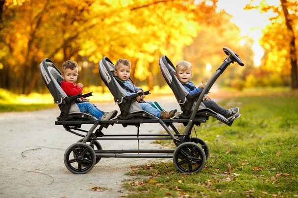 Щасливі трійок сидять у дитячій колясці і їдять печиво на осінній парі
 - Фото, зображення