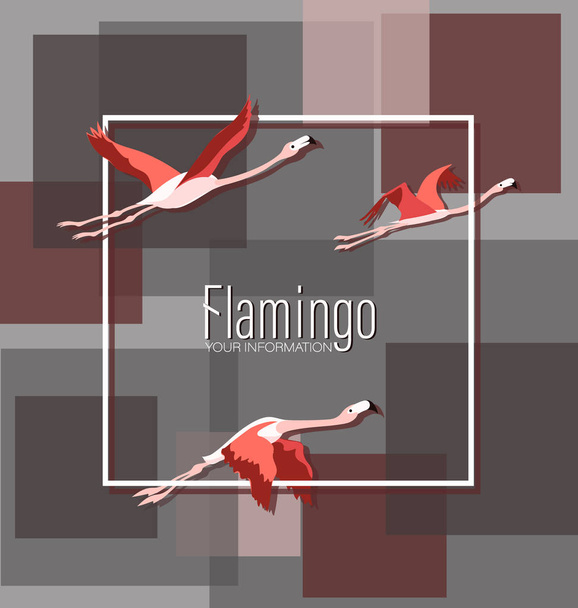 Flamingo in flight. Graceful birds on the background of geometric shapes. Pink flamingo and graphic background, creative poster, invitation, flyer or card. Modern cover page in vector. - Vector, Image