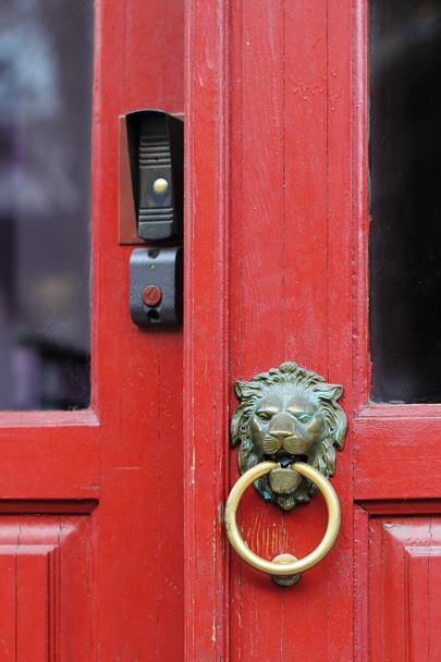 Lion doorknob - Photo, Image