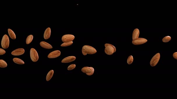 3D animation of a almond flow with alpha layer - Metraje, vídeo