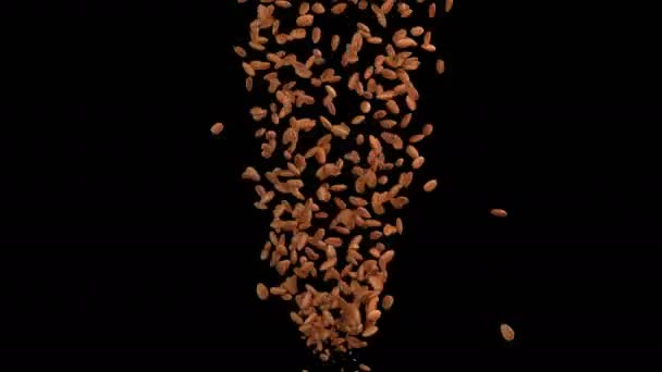 3D κίνηση μιας ροής αμυγδάλου με στρώση άλφα - Πλάνα, βίντεο