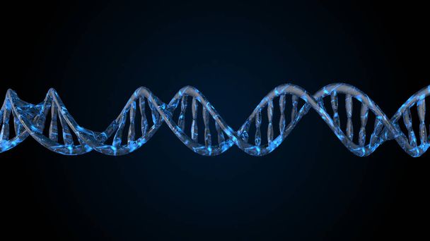 A DNS-kód. Absztrakt 3D sokszögű drótváz DNS molekula hélix spirál. - Fotó, kép