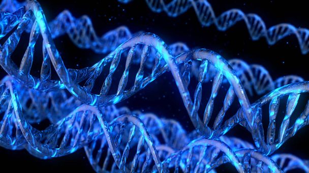 Κωδικός DNA. Αφηρημένο 3D πολυγωνικό πλαίσιο περιγράμματος DNA μόριο έλικα. - Φωτογραφία, εικόνα